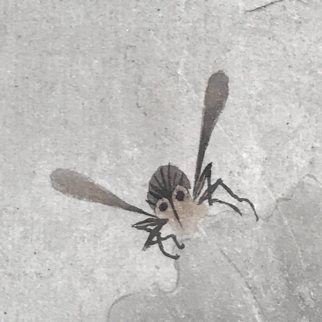 真作】高橋草坪/疏園遊蜂図/野菜図/白菜図/掛軸/名家伝来/