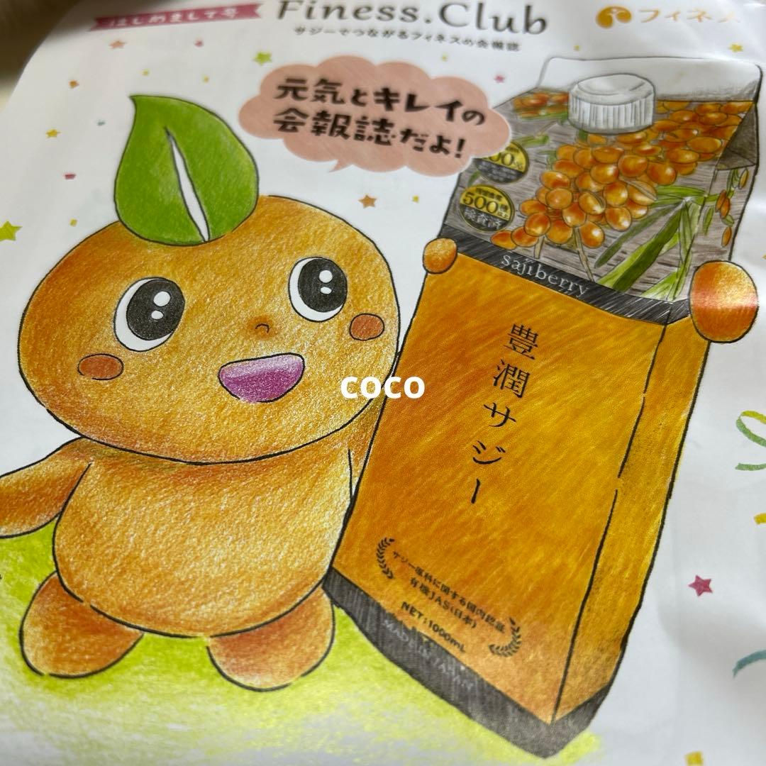 豊潤サジージュース アプリコット1000mL 3本 フィネス 届きたて 即日