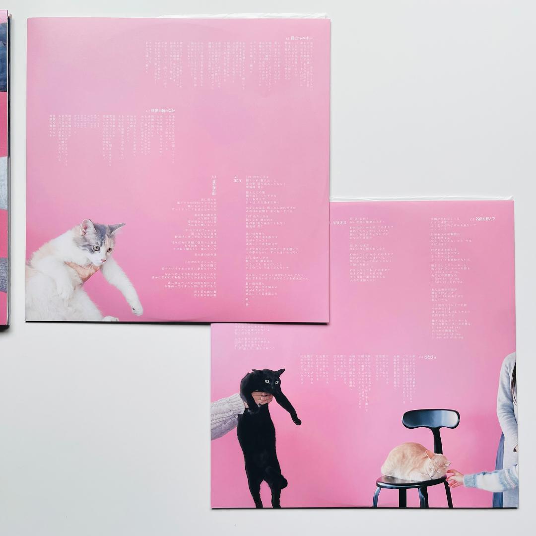 美品 稀少限定盤 レコード 2枚組〔 きのこ帝国 猫とアレルギー 〕佐藤