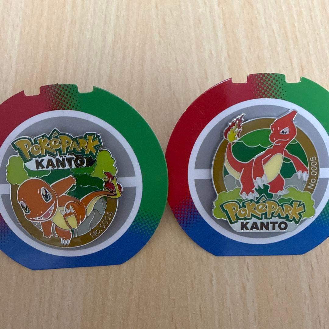 限定☆ポケパーク カントー ヒトカゲ リザードピンバッジ ピンズセット