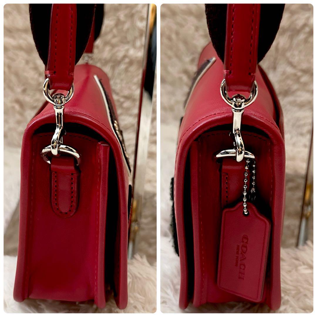 極美品 コーチ ウィズ ペニー ショルダーバッグ カメラバッグ クロス