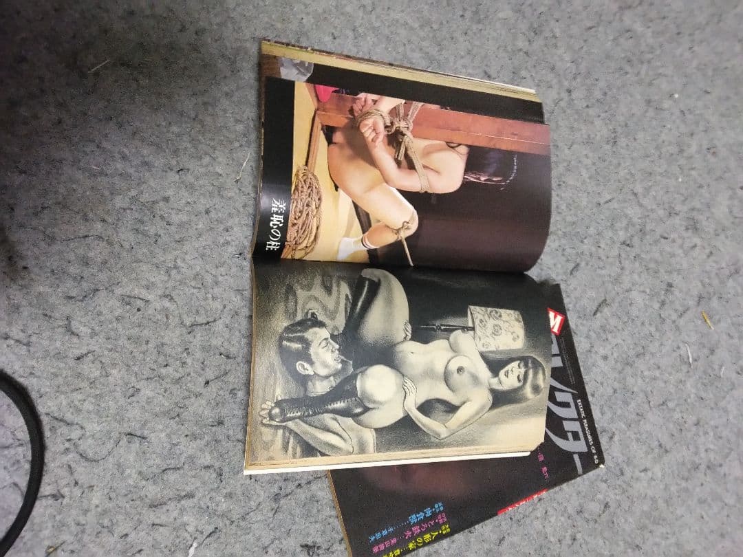 ★入手困難★匿名配送 昭和レトロ S&Mコレクター16冊 団鬼六、春川ナミオ他