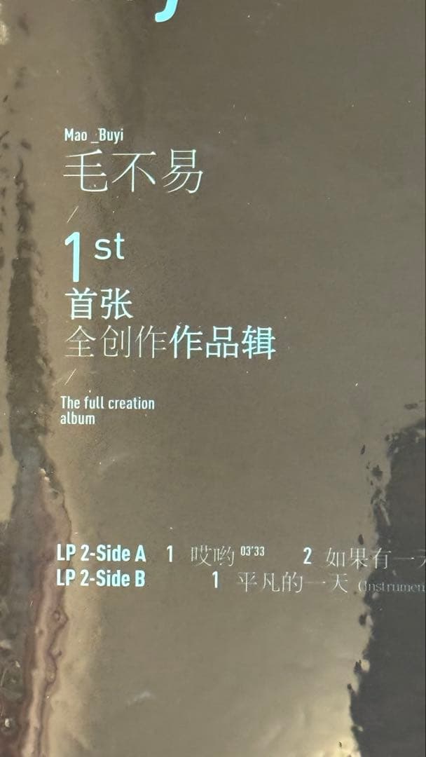 毛不易 平凡的一天 Perfect Day LP 2枚組 未開封