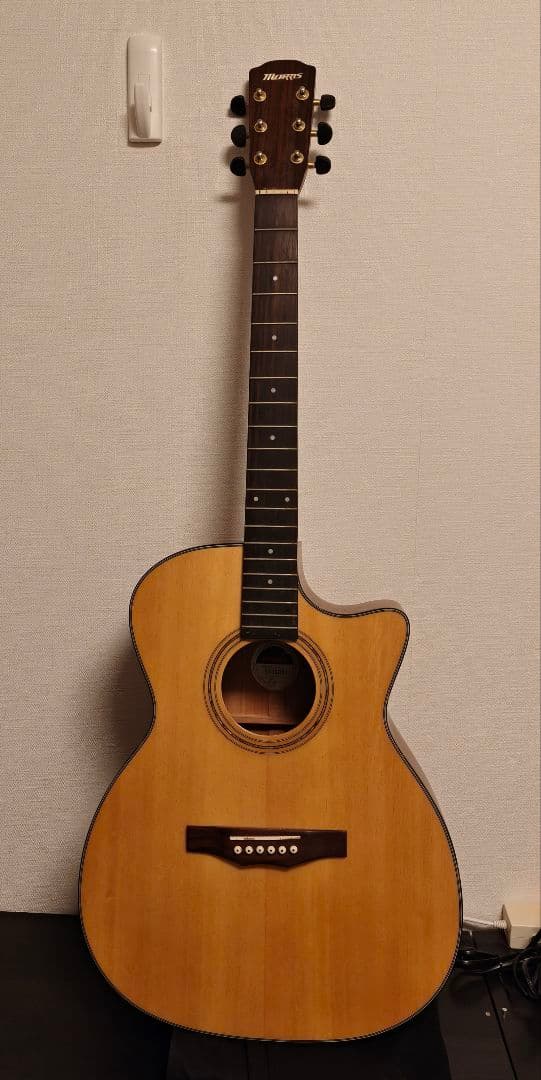 f-601c　アコースティックギター　ソフトケース付き f-601c アコースティックギター ソフトケース付きの通販はau PAY