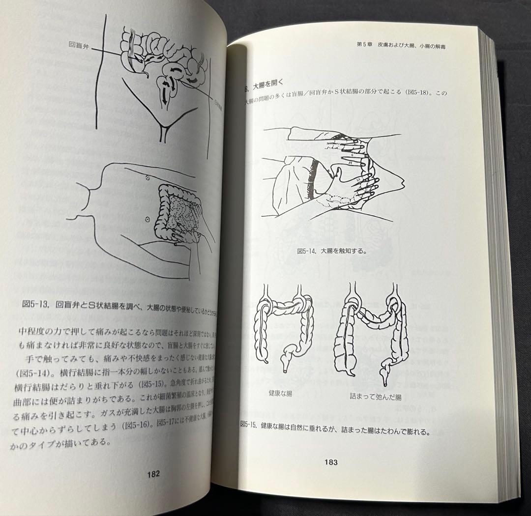 気内臓療法 チネイザン 謝明徳 マンタク・チャ ヒーリング 気功 太極拳