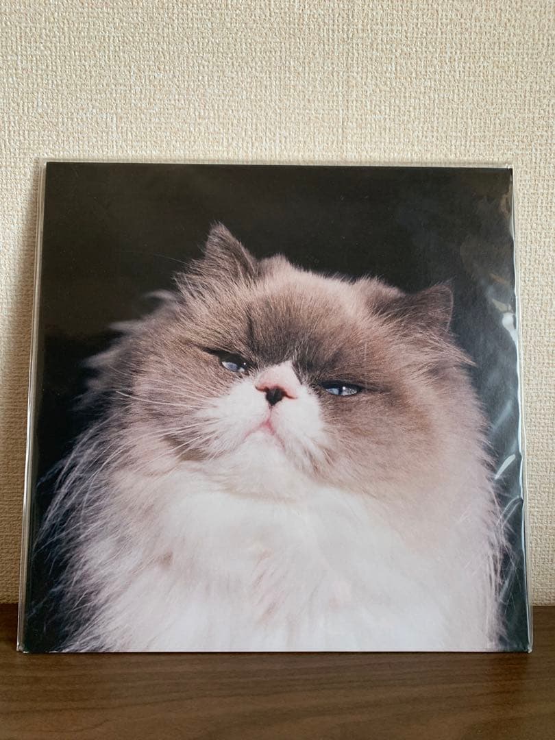 カネコアヤノ レコード 燦々 カネコアヤノ / 燦々 【通常盤】 | CD,日本,ポップス / シティポップ