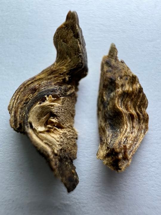 古渡命銘木  御家流名香　伽羅　【まゆずみ】0.173g 香木/お香/沈香/伽羅