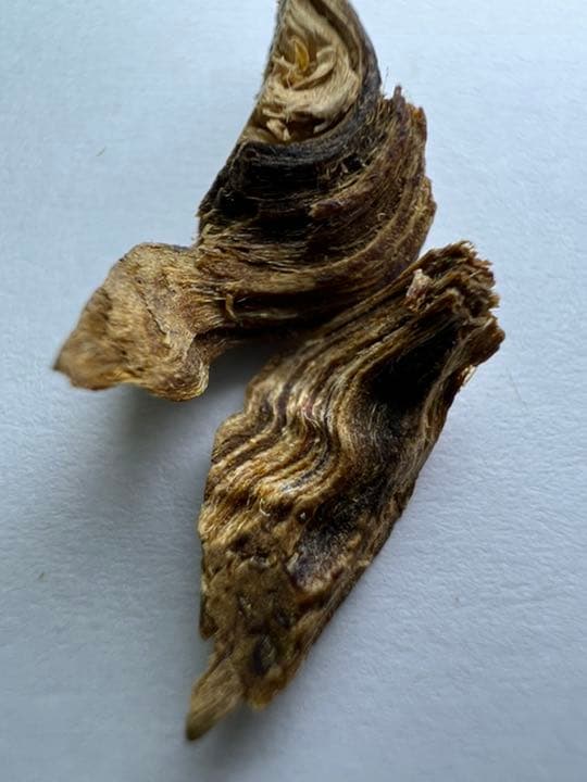 古渡命銘木  御家流名香　伽羅　【まゆずみ】0.173g 香木/お香/沈香/伽羅