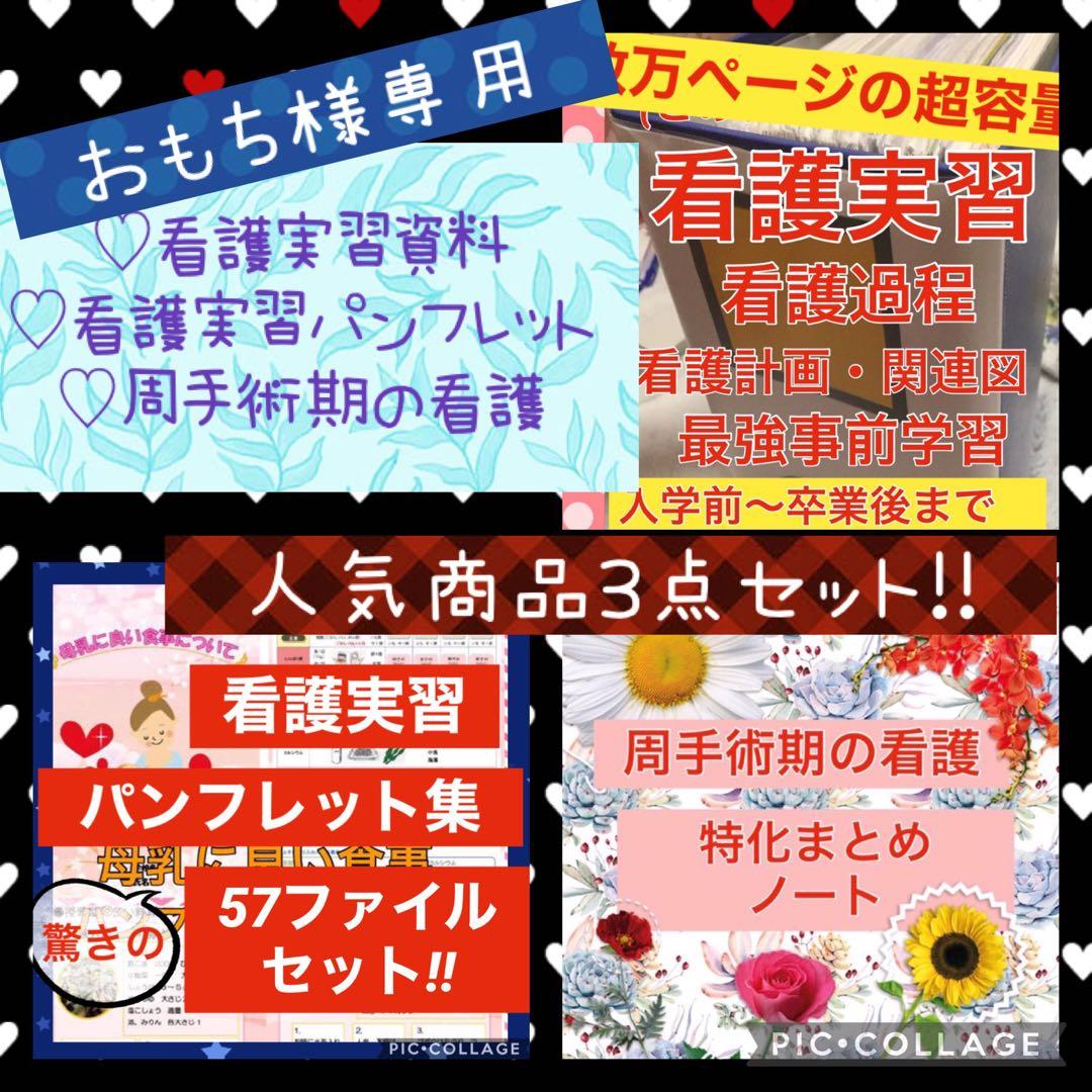 専用 看護学校 看護学生 看護実習 手順書 関連図 計画 国家試験 実習資料 専用 看護学生 看護実習 看護過程 手順書 関連図 計画 国家試験 国試