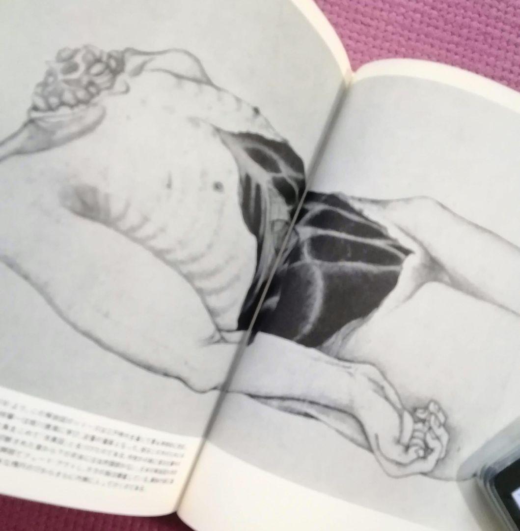 叢書メラヴィリア　初版　カステロフィリア　グロテスクの部屋　江戸の身体を開く