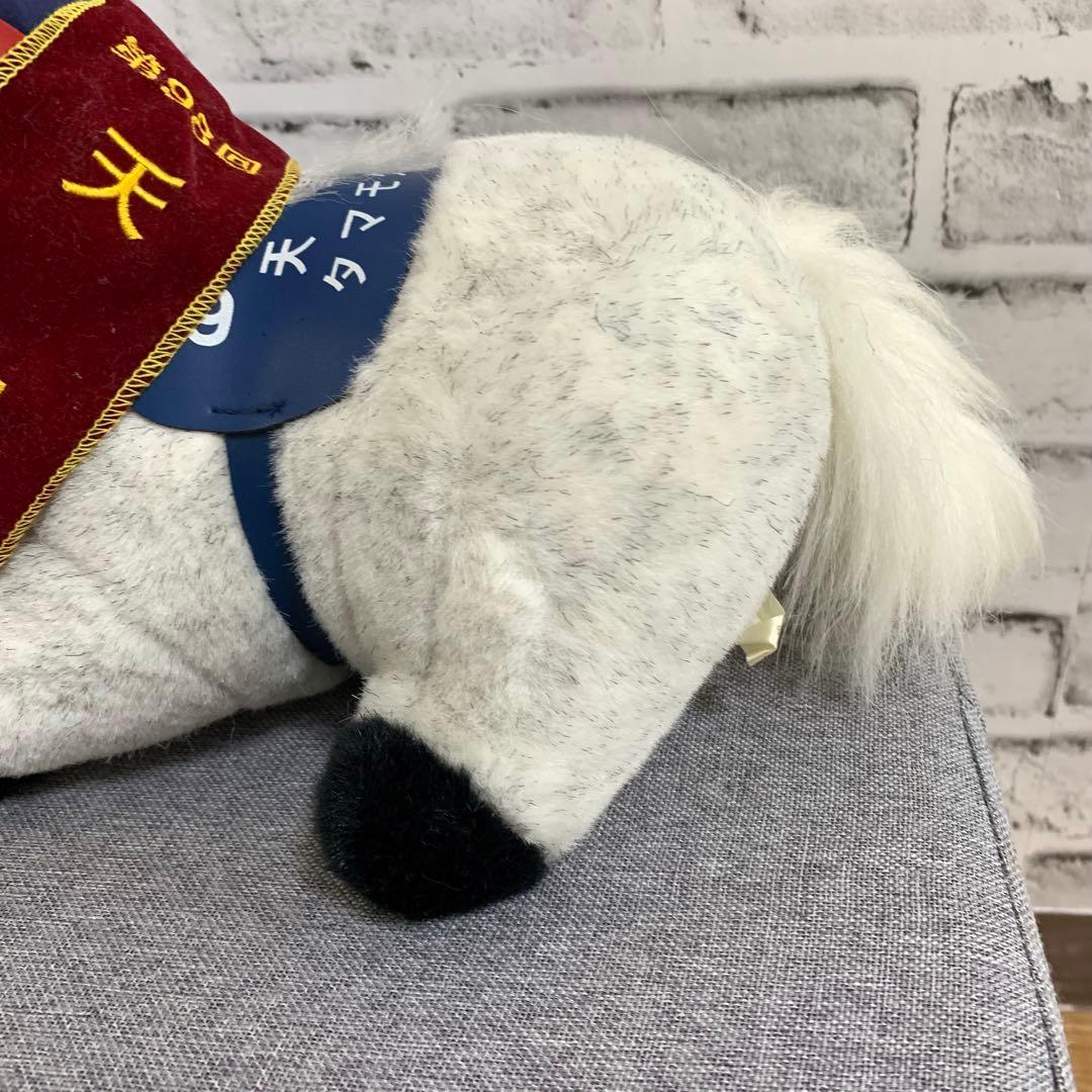 美品 AVANTI タマモクロス ぬいぐるみSサイズ タグ付き - メルカリ