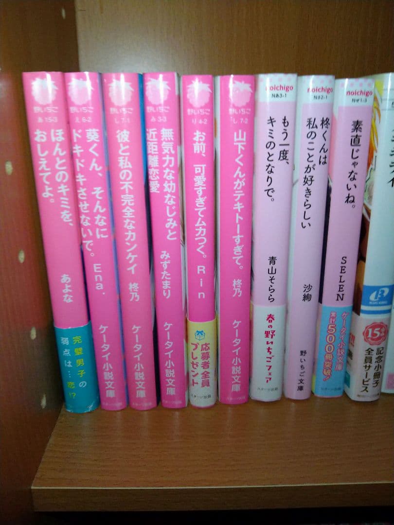 小説 バラ売り