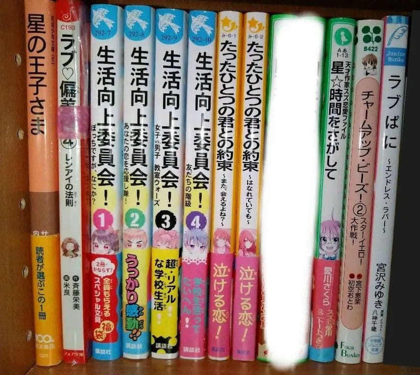 小説 バラ売り