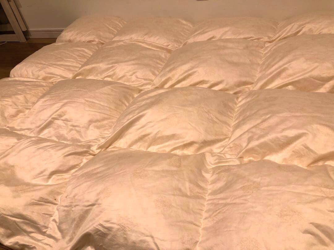 手摘み羽毛　ピルゼン産　グース95% シングル　1.0k 超長綿100％　軽量