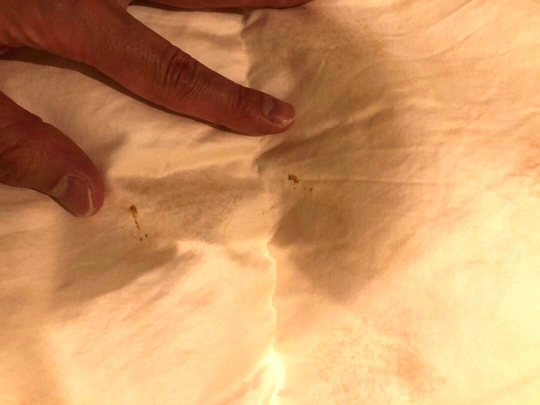 手摘み羽毛　ピルゼン産　グース95% シングル　1.0k 超長綿100％　軽量