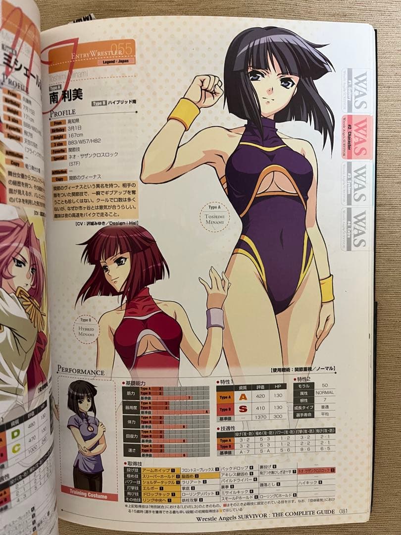 レッスルエンジェルス サバイバー ザ・コンプリートガイド - メルカリ
