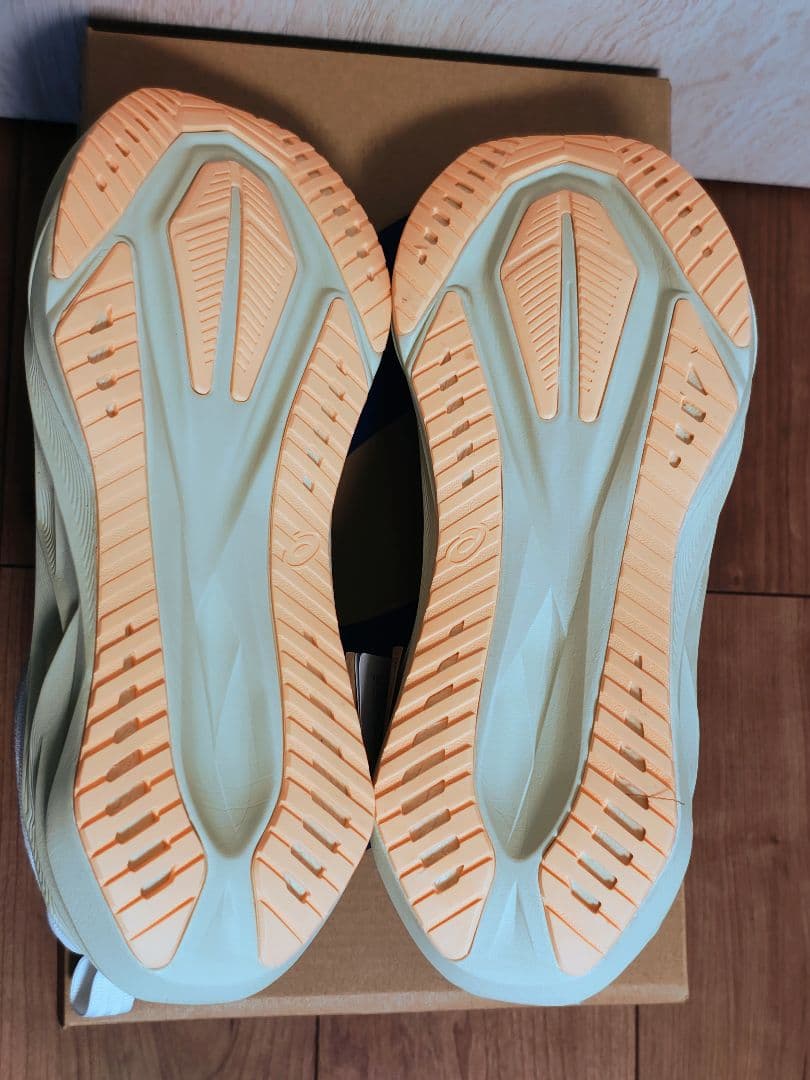 【新品未使用】アシックスASICS NOVABLAST5 28.0cm