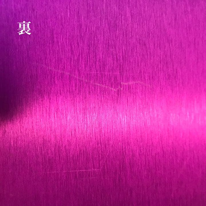 ニコラ・テスラ パープルプレートL 2枚SET - メルカリ