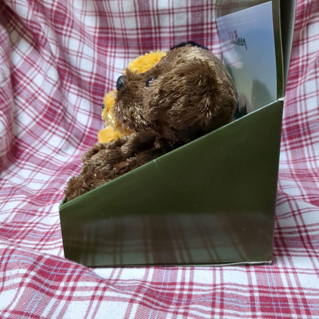 ☆AK☆L.L.Bean Bean's Little Labs 3体セット