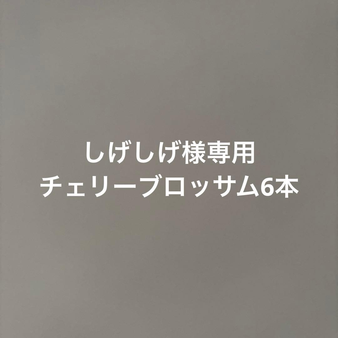 しげしげ InitialD_ANGELCLOVER_01.jpg?