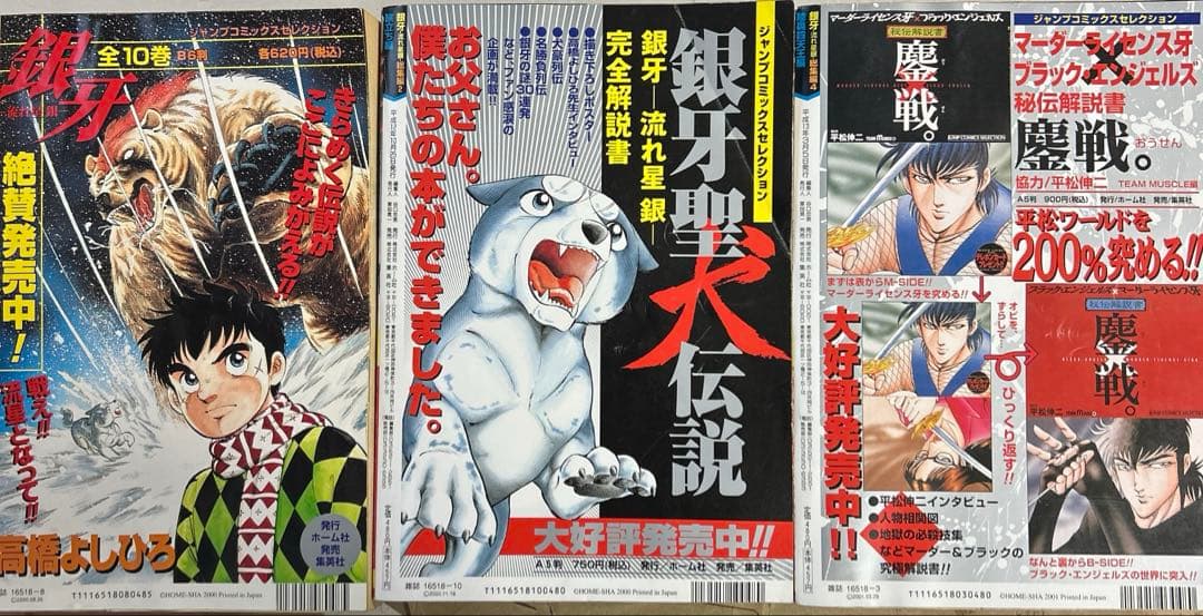銀牙 -流れ星 銀- 総集編 3冊セット 高橋よしひろ - メルカリ