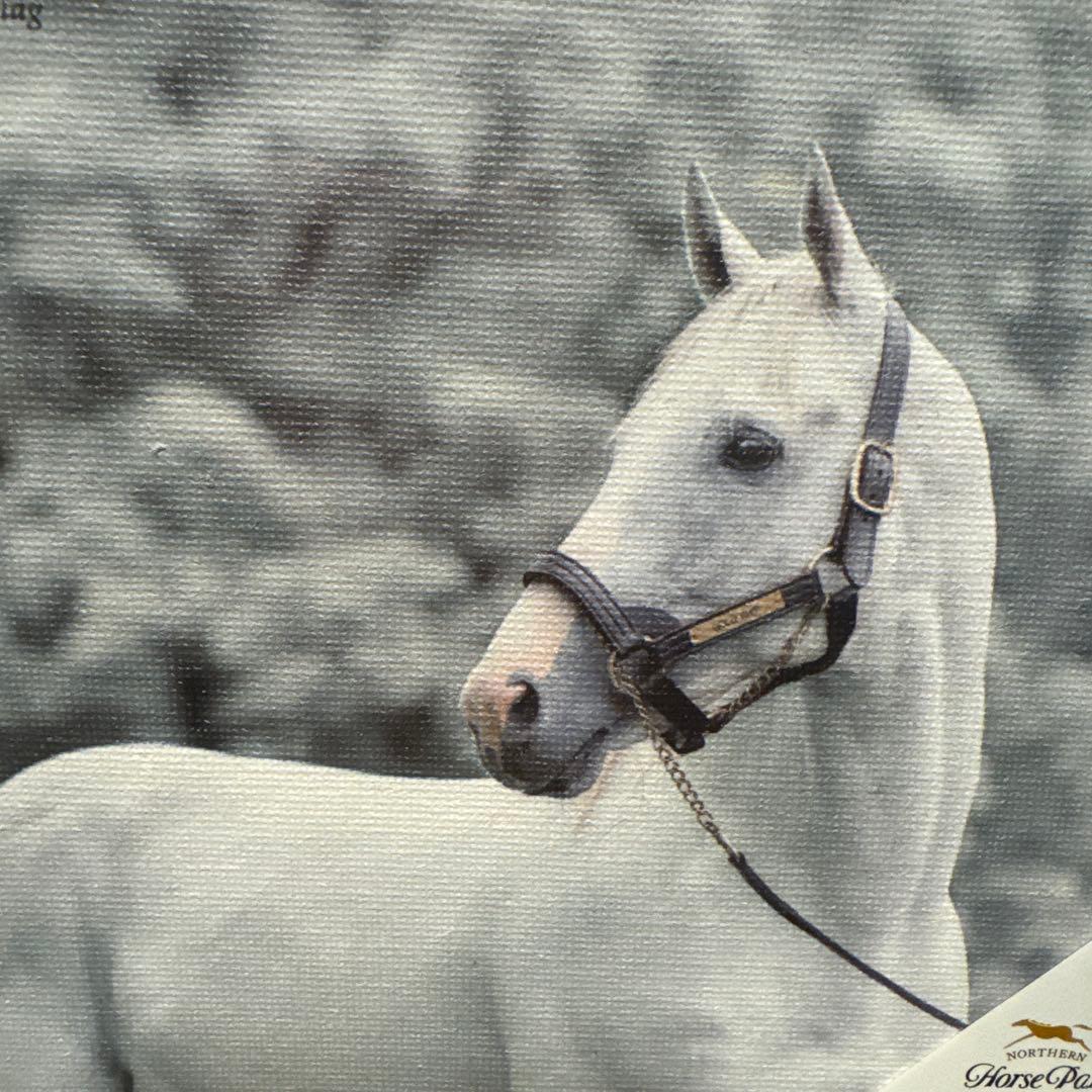 限定品♡ゴールドシップ インテリア キャンバスボード 競馬/午年