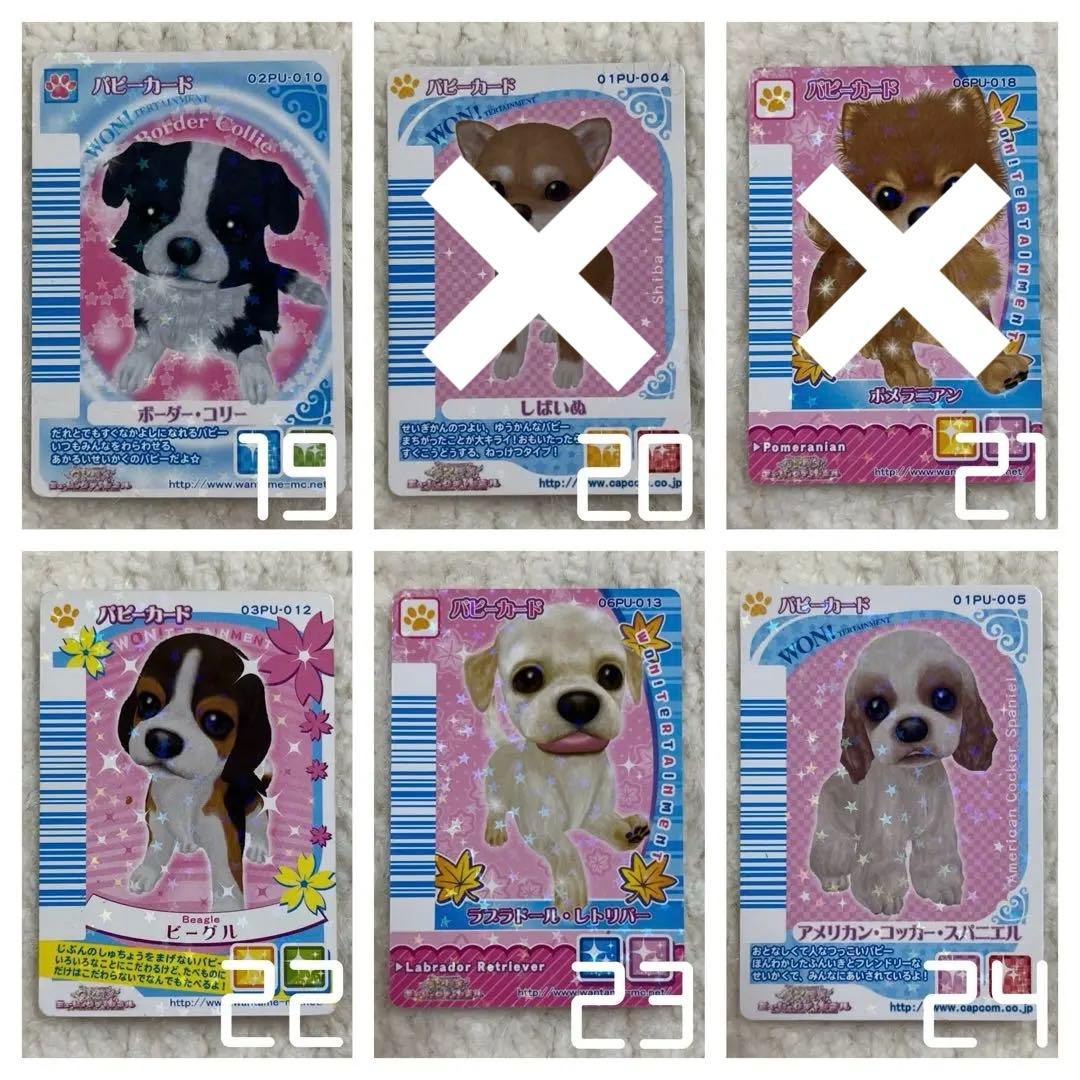 ワンタメ カード パピーカード - メルカリ