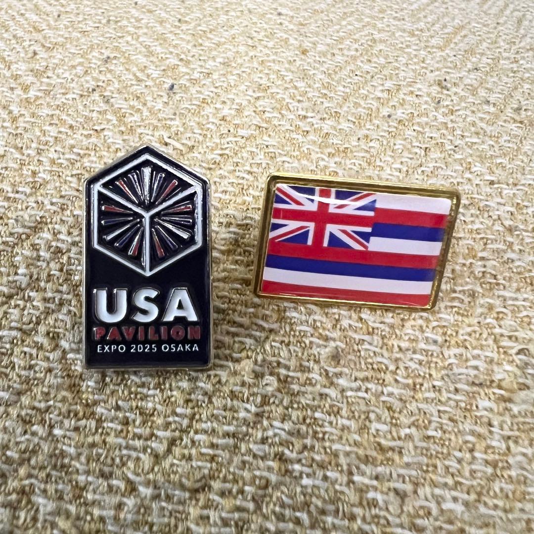 【非売品】大阪関西万博2025 USA パビリオン アメリカ館 ピンバッジ2点 非売品】大阪関西万博2025 USA パビリオン アメリカ館 ピンバッジ2点
