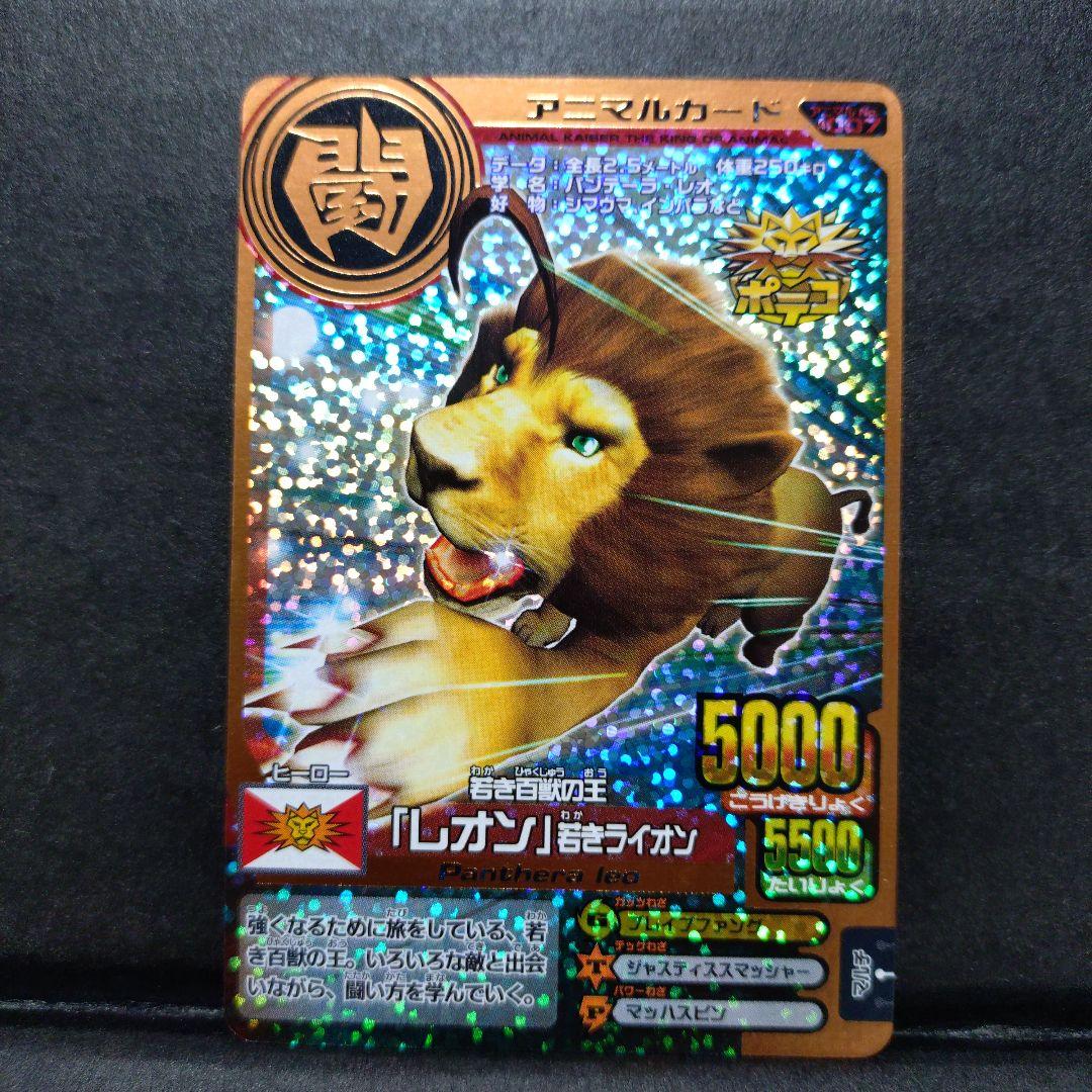 超希少]ポテコプロモ『若き百獣の王レオン』アニマルカイザー銅キラ