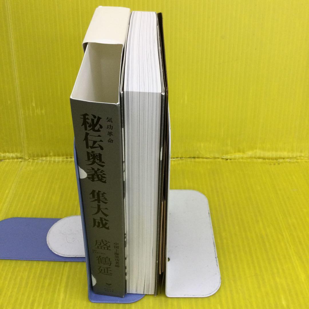 気功革命 秘伝奥義集大成 盛鶴延著