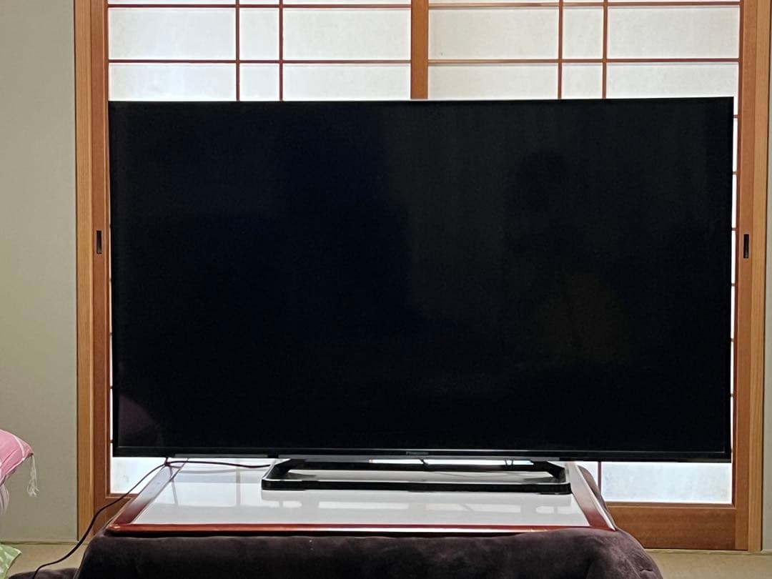 Panasonic TH-49E300 49インチ液晶テレビ【訳あり品】 アウトレット品】 TH-49EX750 液晶テレビ VIERA(ビエラ) [49V型 /4K