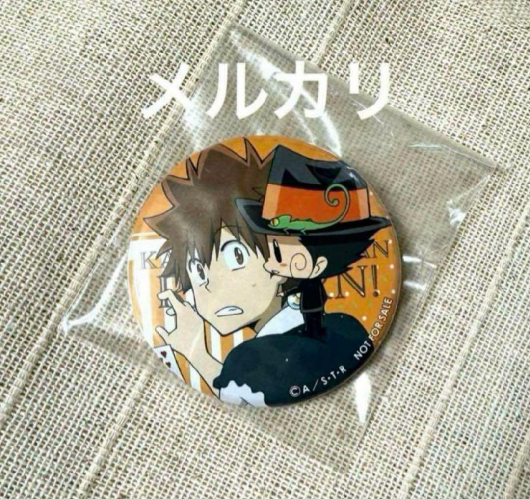 リボーン&綱吉　缶バッジ AMNIBUS-日常使いできるアニメグッズの通販サイト-