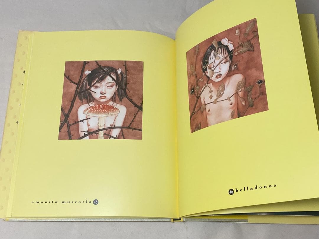 希少絶版品！トレバーブラウン forbidden fruit 禁断の果実作品集