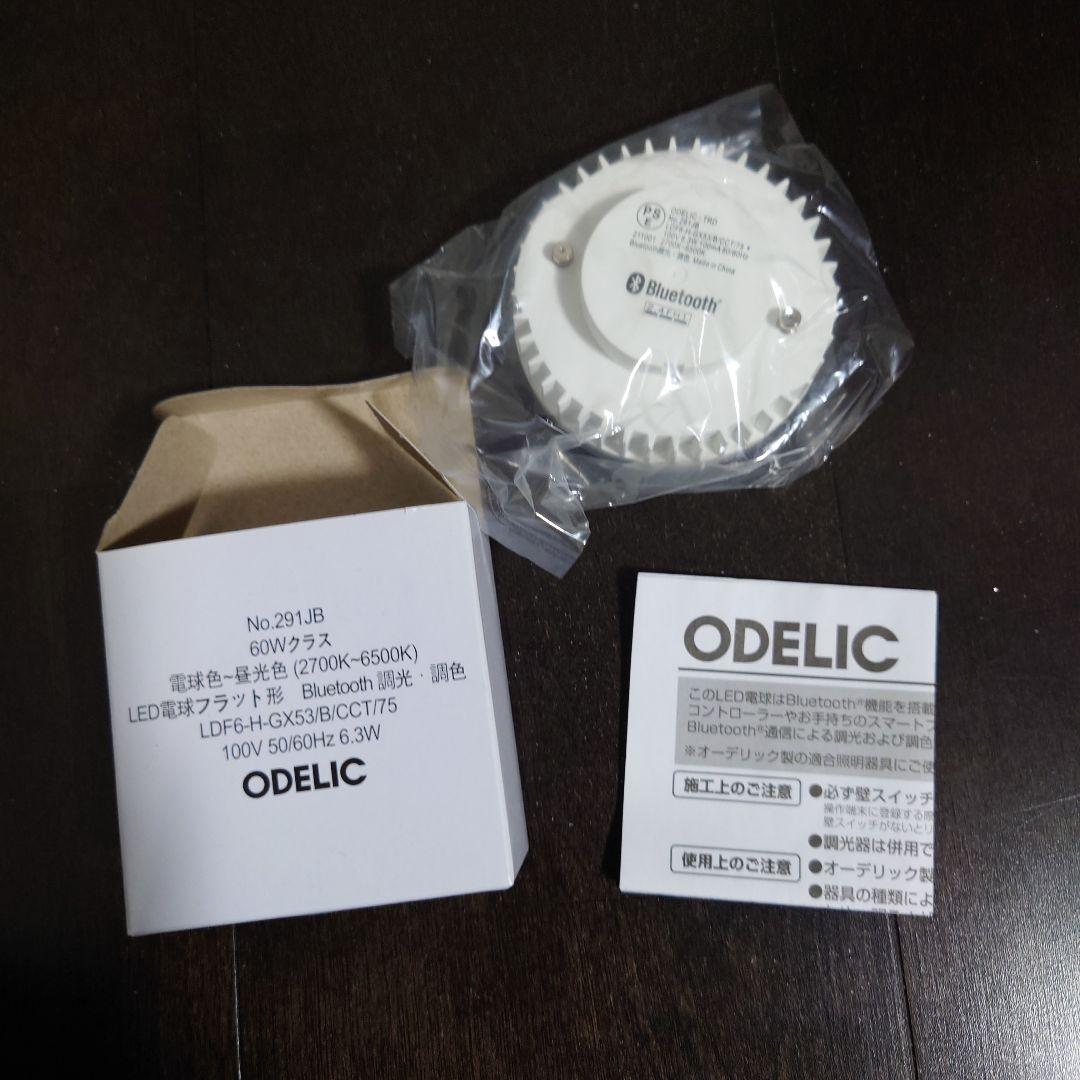 SY様専用 100Φダウンライト8台&リモコン2個