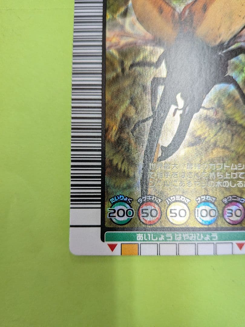 むるてぃしゅ様確認用