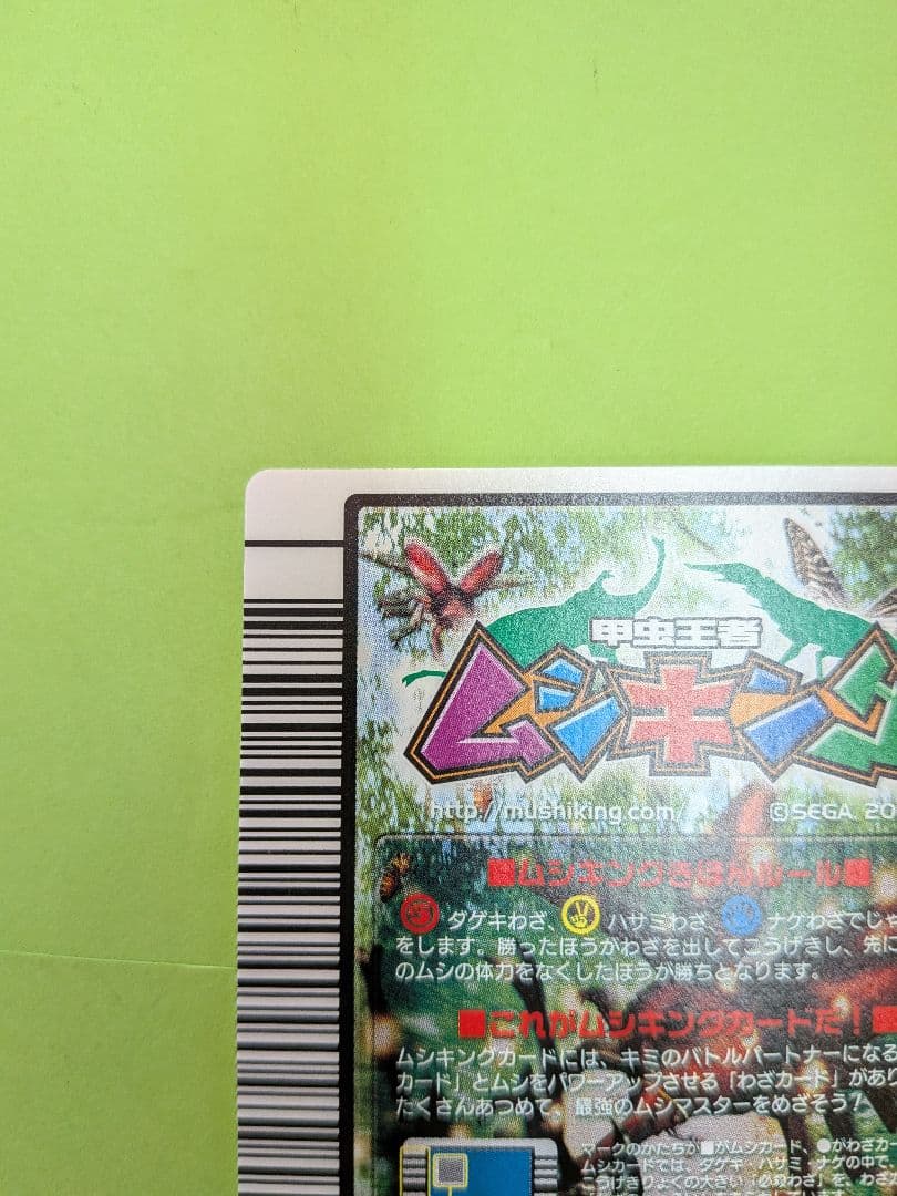 むるてぃしゅ様確認用