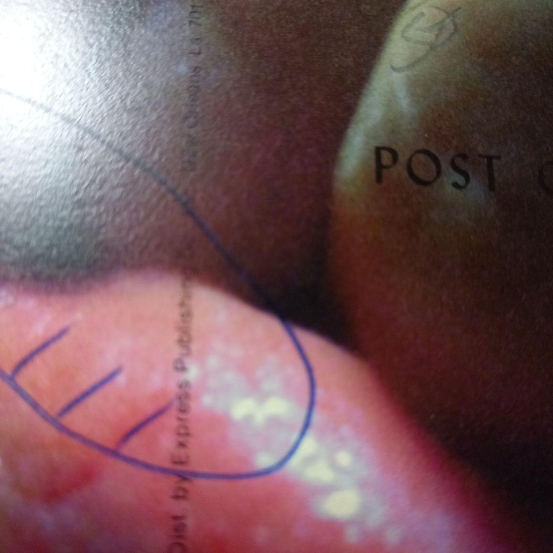 安楽寺えみ写真集 洋書 e hagaki 限定500部 直筆サイン.イラスト入り