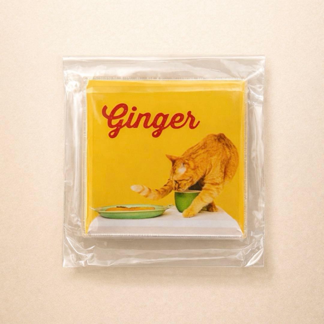 未開封】TOMOO ''TWO MOON'' ランダムマグネットginger - メルカリ