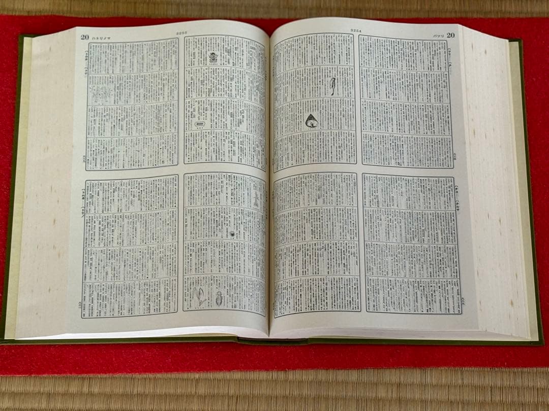 最終値下げ‼️34000⇨超美品1点限り‼️平凡社 大辞典 二冊セット 虫眼鏡付き