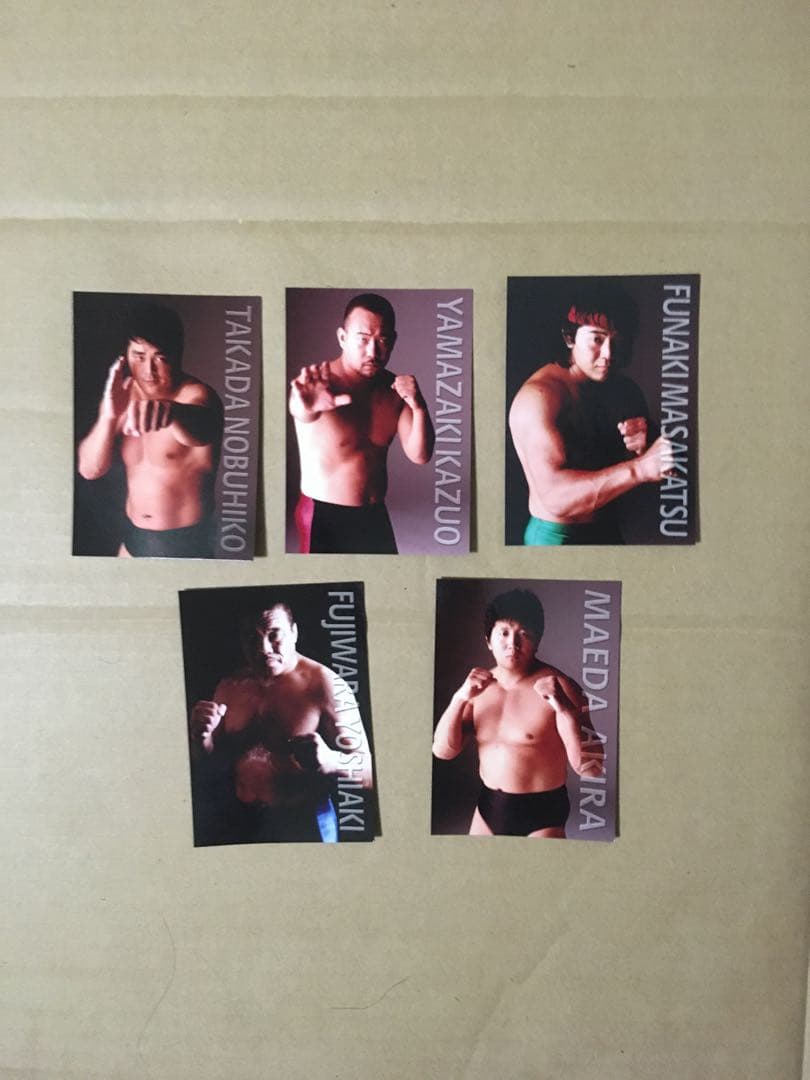 南武真太郎U.W.F. COMPLETE BOX stage.3〈5枚組〉