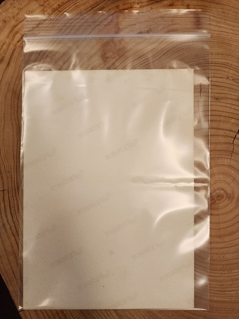 レナトの生写真（直筆サイン） サッカートヨタカップ王者&MVP - メルカリ