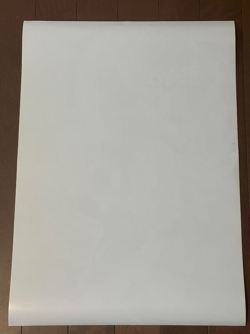 ドラゴンボールZ 映画ポスター 95夏 東映アニメフェア 龍拳爆発