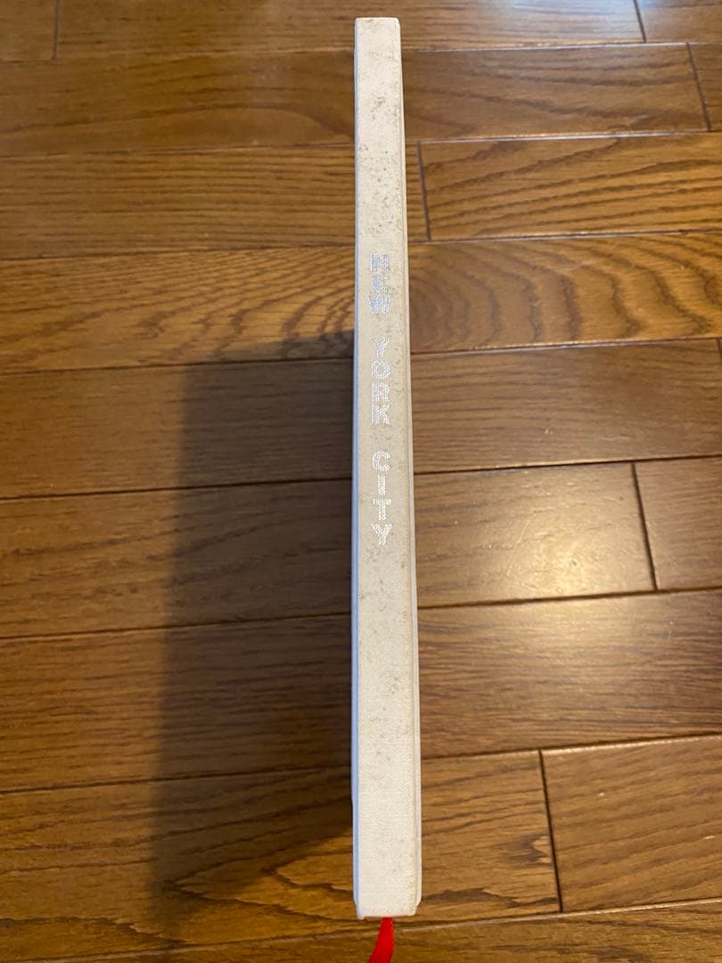 激レア　all most famous NY 写真集　未発売　2004