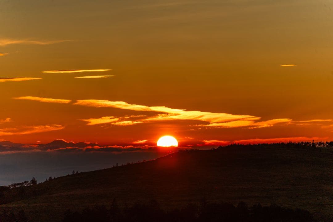 TAMRON 70-300mm f/4.5-6.3 Di Ⅲ RXD