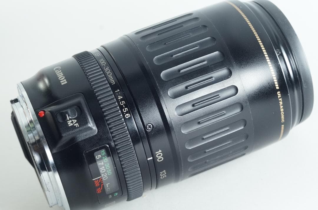 遠く 望遠レンズ Canon EF100-300mm F4.5-5.6 USM