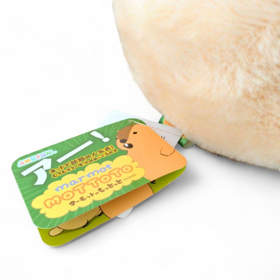 マーモットのもっとっと JB ぬいぐるみ はまもと 28cm 新品タグ付き