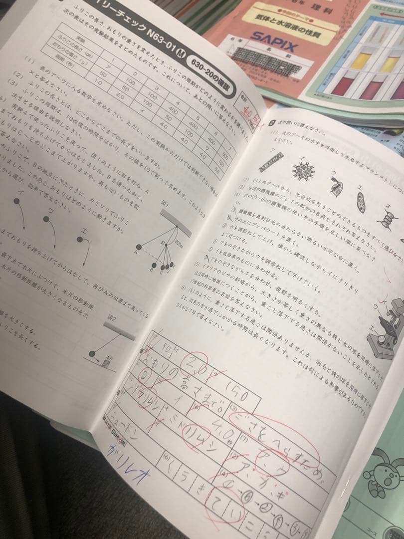 サピックス6年理科 デイリー/夏期集中/春夏/土特 /日特 中古 2025年