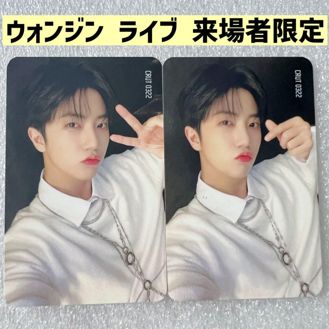 aespa popup whiplash 5万購入特典 チェキ カリナ 2枚