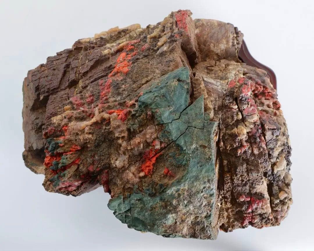 天覧 天然菊花石 大輪 6.5kg 台座付 鑑賞石 盆石 水石 自然石 美石