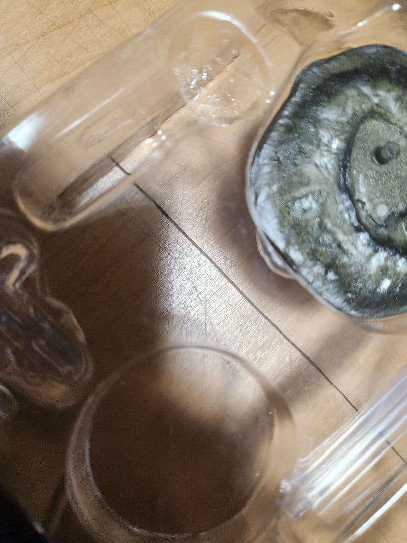 ビ*ラ様 S.H.MonsterArts ヘドラ 50周年特別記念セット